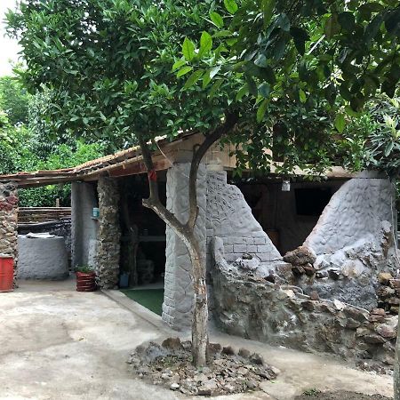 فندق باتوميفي  Mzeos House المظهر الخارجي الصورة