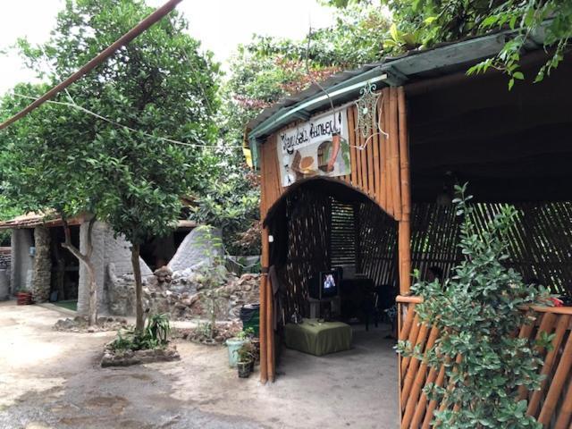 فندق باتوميفي  Mzeos House المظهر الخارجي الصورة